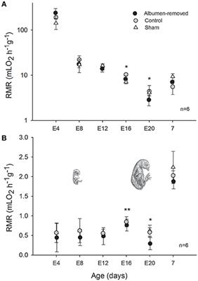 Energetic Effects of Pre-hatch Albumen Removal on Embryonic Development and Early Ontogeny in Gallus gallus